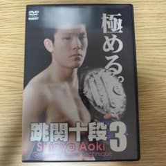 跳関十段 3 青木真也 柔術 DVD BJJ - メルカリ