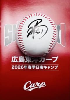 広島東洋カープ 平川蓮選手♯51 直筆サインボール 2026日南キャンプ