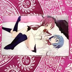 m76894528360_1.jpg?1770466086