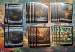 チョコボトラックfoil基本土地 日本語 島 山 平地 沼 森 MTG 20枚