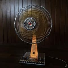 m77099747609_1.jpg?1750247695