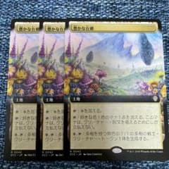 MTG 豊かな在郷 3枚 ローウィンの昏明 日本語 拡張アート ECC - メルカリ