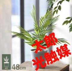 光触媒 人工観葉植物 ウォールかグリーン フェイクグリーン テーブル