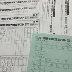 未使用 最新版 2025年度 日能研 5年 学習力育成テスト 第12回 - メルカリ