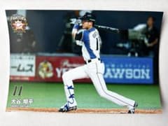 北海道日本ハムファイターズ 大谷翔平 球団公式 写真 ハイライトフォト