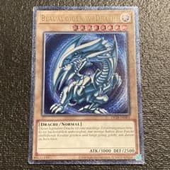 m79542101956_1.jpg?1751724555