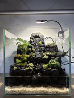 m79846711251_1.jpg?1757778751