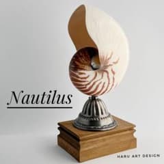 m79924356698_1.jpg?1685023442