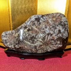 Gojyo様専用】菊花石 岐阜県根尾谷産5.2㌔ 鑑賞石 観賞石 水石 盆石