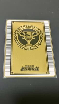 希少 初期 前期】甲虫王者ムシキング2003年グレイテストチャンピオン