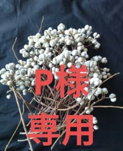 ナンキンハゼ。7本。ナンキンハゼの実。ドライフラワー。スワッグ