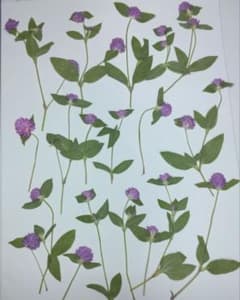 flower様 リクエスト 3点 まとめ商品 - メルカリ