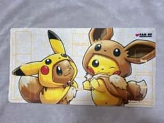 m72989796873_1.jpg?1710978109