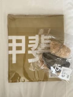 大阪ブルテオン 甲斐優斗選手 オールスター 応援タオル ユニフォーム