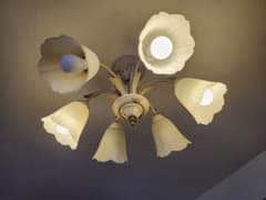 フラワー型シェード 6灯シーリングライト/シャンデリア - メルカリ
