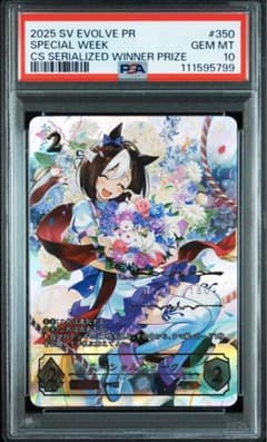 m84092018604_1.jpg?1747225252