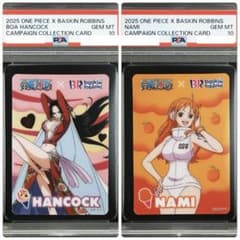 PSA10 ボアハンコック ナミ キャンペーンコレクションカード