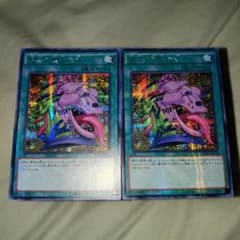 強欲で貪欲な壺 2枚 アジア版 シークレットレア TDIL - メルカリ