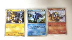 ホウエン3犬色違いポケモンカードゲームLEGEND 3枚売り - メルカリ