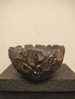 オトンナ レトロルサ 礎礎 鉢 発根 現地球 検)カタフ パキプス