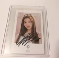 m86157179984_1.jpg?1711118241