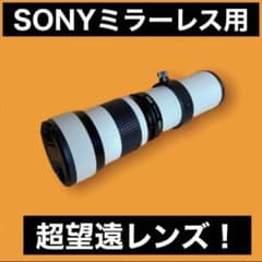 SONY ミラーレス用 超望遠レンズ サードパーティ製 初心者でもOK