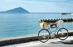 m86603667018_1.jpg?1688386647