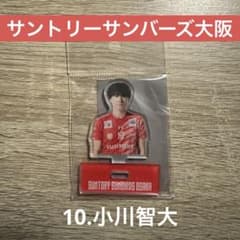 m86670567302_1.jpg?1762326527