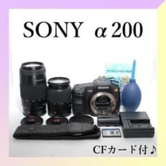 ✨SONY α200✨Wレンズ✨初心者✨簡単操作✨一眼レフ - メルカリ