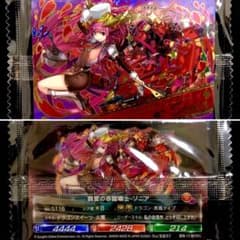 激レア‼️パズドラ ウエハース『超Ⅷ-13 超HRG 親愛の赤龍喚士・ソニア