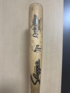 m86990628964_1.jpg?1731578089