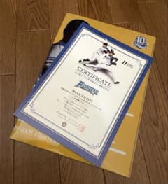 希少 大谷翔平 非売品 プロ初登板試合観戦証明書 クリアファイル 2013