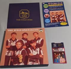 11枚組 ザ・ワイルド・ワンズ コンプリート・ヒストリーBOX おまけ付き