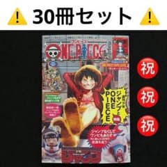 28.⭐️初版本【本のみ30冊】ワンピースマガジン20号 ルフィ カード