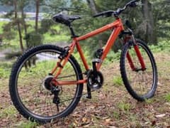 栃木県・引き取り】PERFORMANCE マウンテンバイク 26インチ 現状品