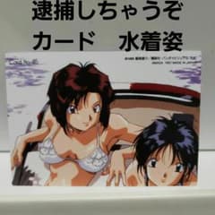 逮捕しちゃうぞ 水着 カード レトロ レア 昔 当時物 珍 アニメ 希少