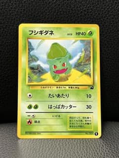 フシギダネ ポケモンカード 旧裏 イントロパック - メルカリ