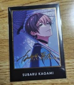 m80780650476_1.jpg?1765193974