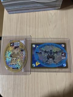 流通枚数10枚と500枚】ポケモン工芸展 バス利用入場券特典エラー品