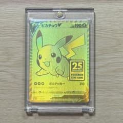 m81089156652_1.jpg?1728321760