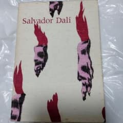 ダリ回顧展 図録 1980年 ポンピドーセンター 近代美術館 大型本 布装