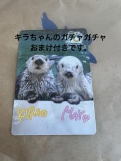 最終値下げ！鳥羽水族館 コレクションカード 70周年記念ラッコ キラ