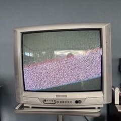 m82683559917_1.jpg?1761634120