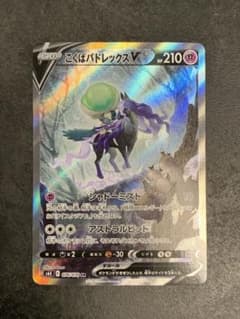 こくばバドレックスV SR S6K 漆黒のガイスト 076/070 - メルカリ