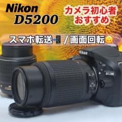 新品級ショット数✨Nikon D5200 スマホ転送 バリアングル液晶 自撮り