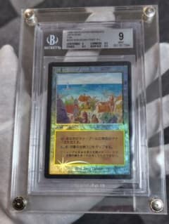 MTG foilリシャーダの港/ Rishadan Port MMQ BGS鑑定 - メルカリ