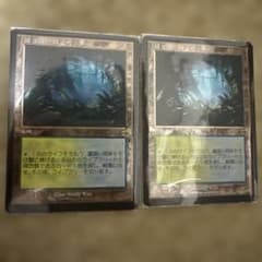 MTG FOIL 霧深い雨林 旧枠2枚セット - メルカリ