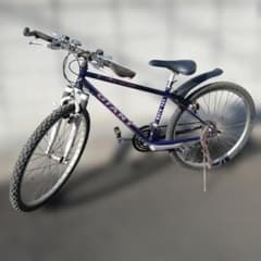 埼玉引取】GIANT マウンテンバイク 紫 - メルカリ