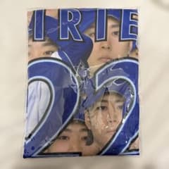 m97585619167_1.jpg?1763890808