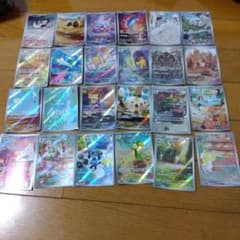 断捨離中 スカーレットex、バイオレットex ARコンプ24種類1セット/229